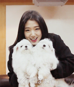 박신혜 움짤 강아지 귀여운 예쁜 여자 개