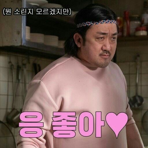 뭔소린지 모르겠지만 응좋아 좋아 마동석