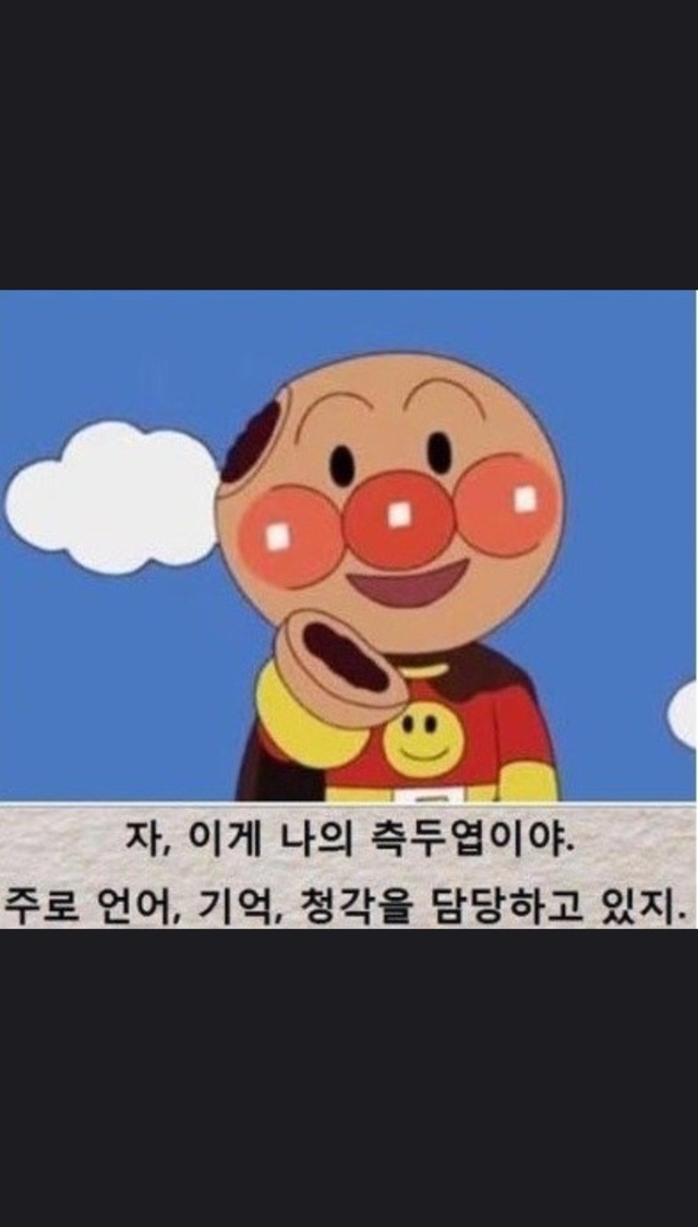 호빵맨 이게 나의 측두엽이야 주로 언어 기억 청각을 담당하지