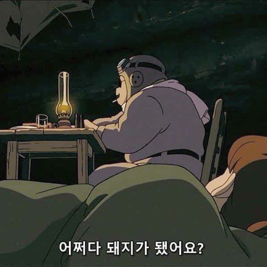 어쩌다 돼지가 됐어요 돼지 꿀꿀 질문