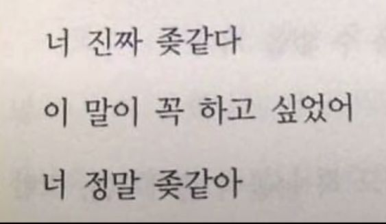 싫어 진짜 X같다 이말이 꼭 하고 싶었어 정말 개같아