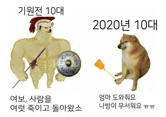 기원전 10대 2020년 10대 비교 근육 시바견 짤방 밈