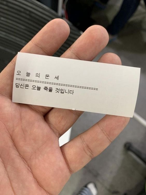 오늘의 운세 당신은 오늘 죽을 것입니다 악담