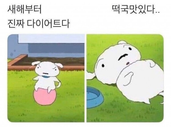 새해부터 진짜 다이어트 떡국맛있다 흰둥이 짱구 살 운동 설날