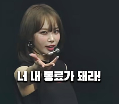 채원 피어나 너 내 동료가 돼라 동료가돼라 동료 도도독 김채원