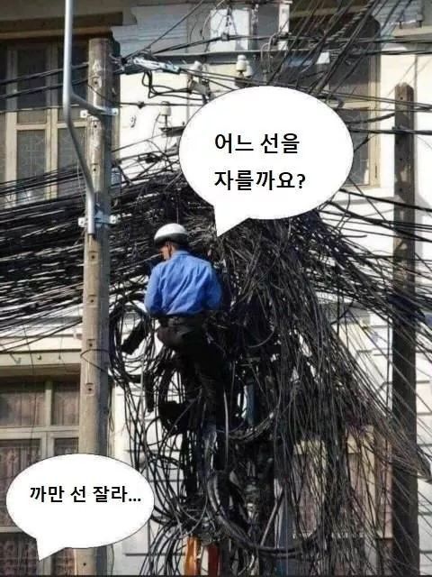 어느 선을 자를까요 까만 선 잘라