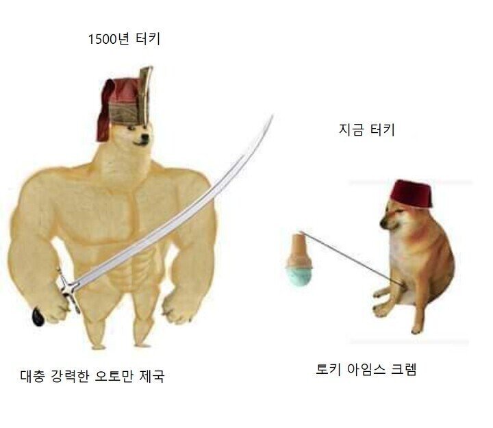 근육 시바견 생성된짤 1500년 터키 지금 터키 비교