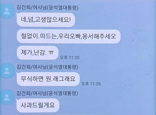 김건희 명태균 카톡 철없이 떠드는 우리오빠 용서 무식하면 원래그래요 제가 난감