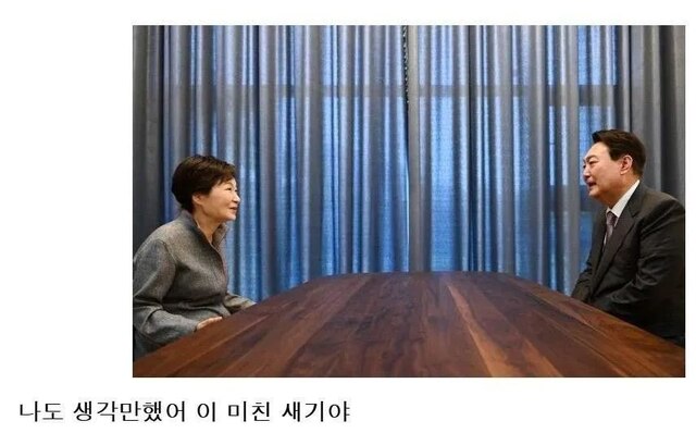 윤석열 계엄 계엄짤 나도 생각만했어 이 미친 새끼야 박근혜