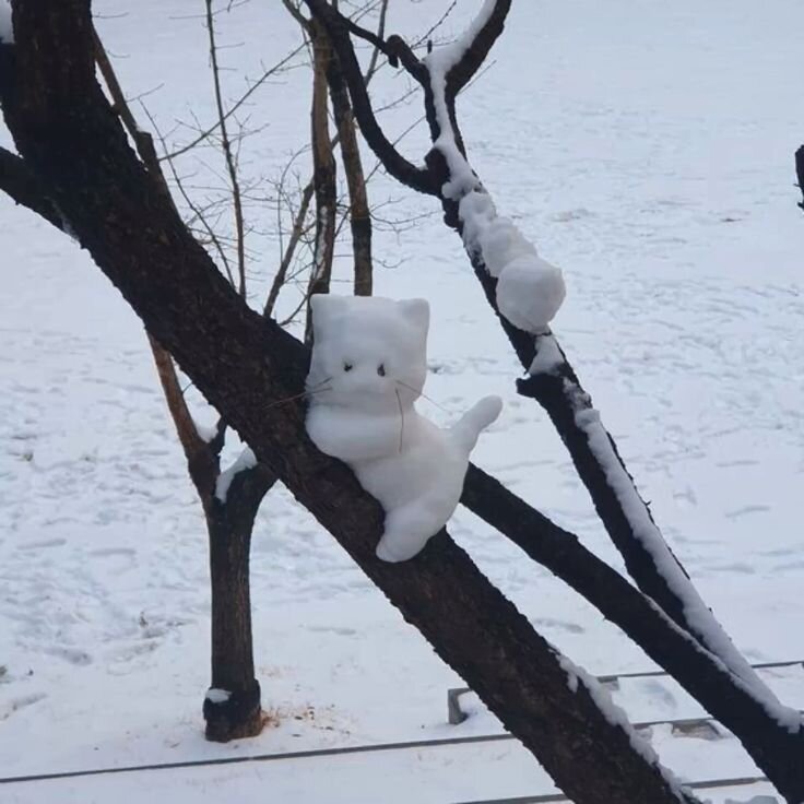 눈사람 고양이 냥이 나무위