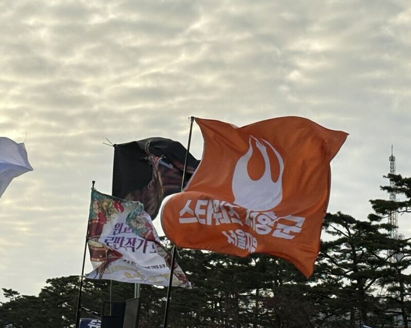 윤석열 탄핵 시위 깃발 스타워즈 저항군 서울지부 민주주의 깃발시위 센스