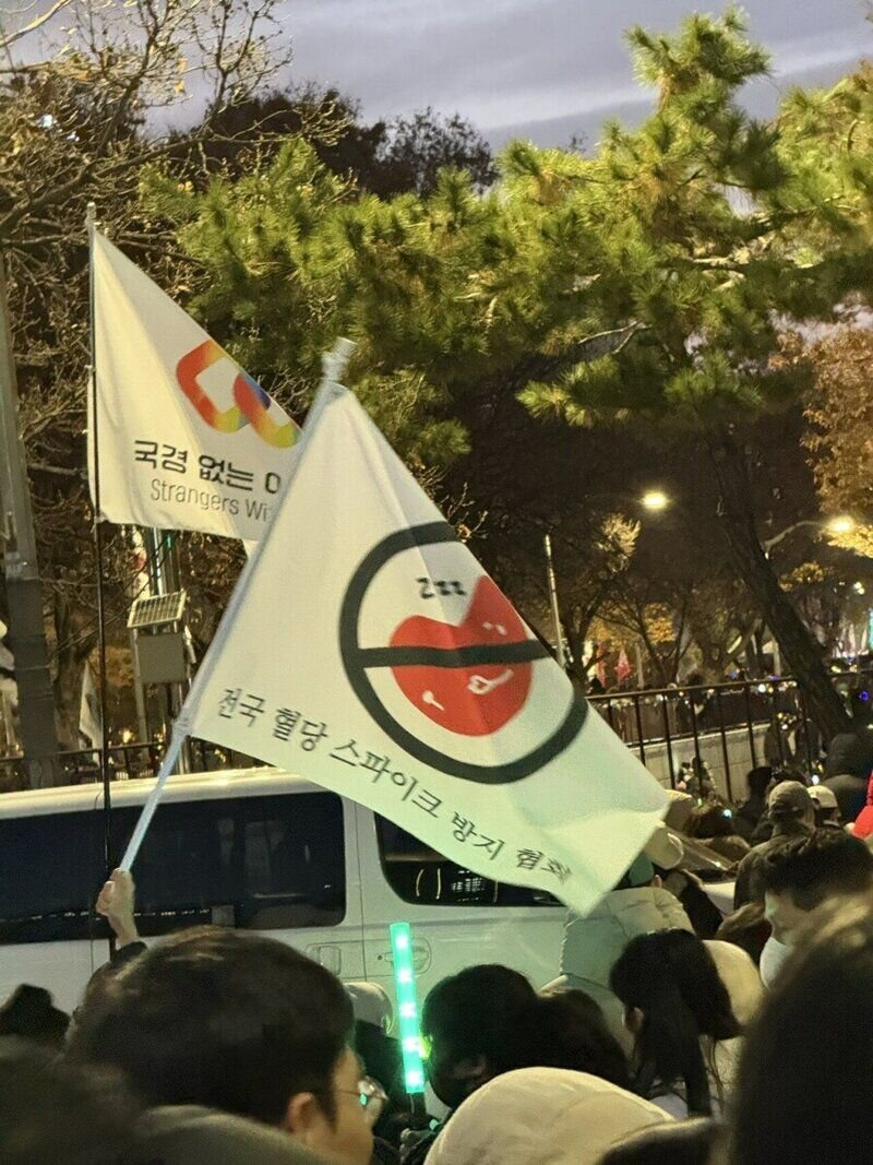 윤석열 탄핵 시위 깃발 전국 혈당 스파이크 방지 협회 민주주의 깃발시위 센스