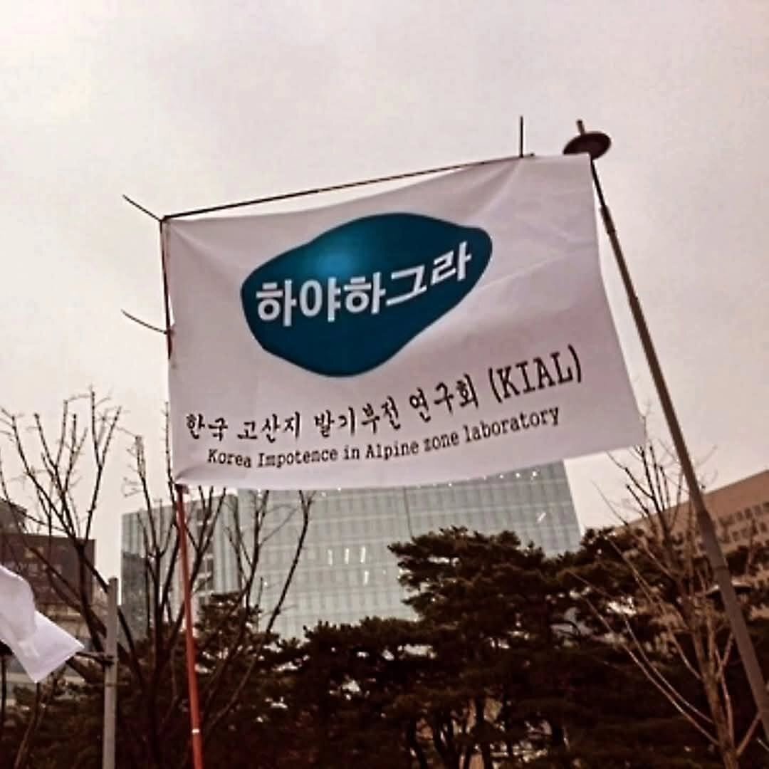 하야하그라 한국 고산지 발기부전 연구회 민주주의 깃발시위 센스