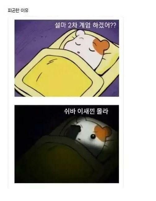 피곤한 이유 설마 2차 계엄 하겠어 쉬바 이새낀 몰라 윤석열 계엄령 계엄짤