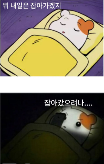 잡혀갔나 체포됐나 검거 윤석열 전국민 습관 체포 뭐 내일은 잡아가겠지