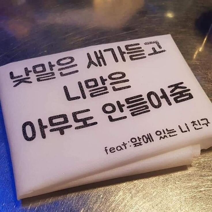 낮말은 새가듣고 니말은 아무도 안들어줌