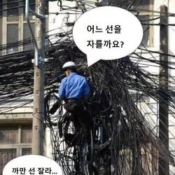 어느 선을 자를까요 까만 선 잘라