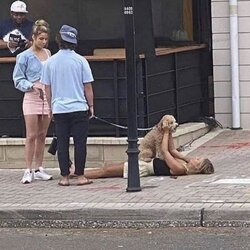 강아지 산책 여자 길거리 누워 있는 이상한 장면 사람들